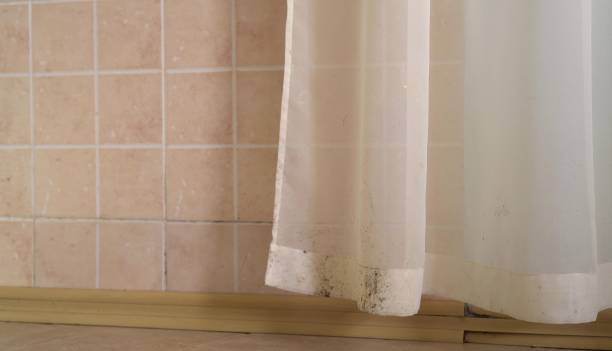 Best Mold Documentation for Insurance Claims  in Fruitland Park, FL