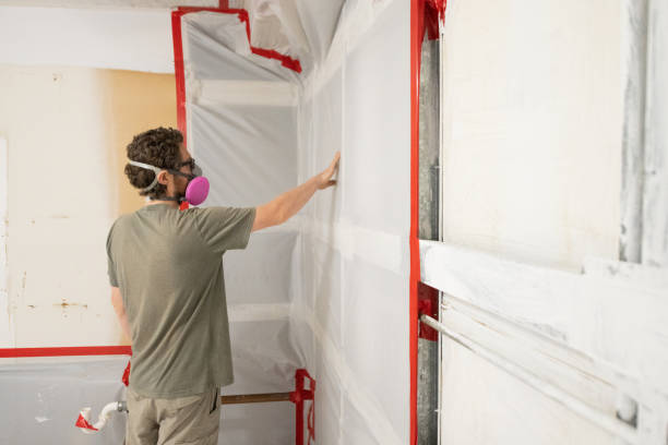 Best Biohazard Mold Removal  in Fruitland Park, FL