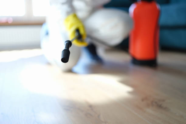 Mold Remediation for Rental Properties in Fruitland Park, FL