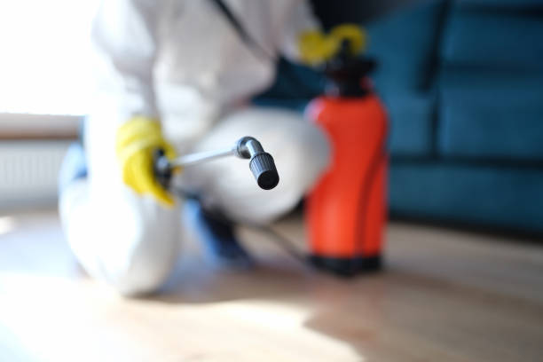 Best HVAC Mold Inspection and Cleaning  in Fruitland Park, FL