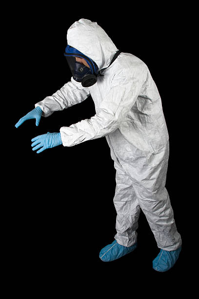 Best Attic Mold Removal  in Fruitland Park, FL